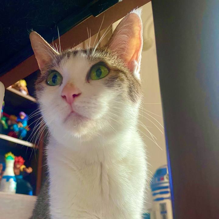 4b3cde04 8dc2 4f5f 9a2e 8fef6512824d 1627199880074