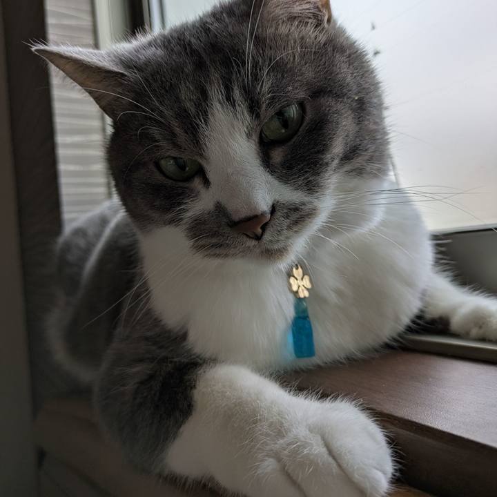 4b3cff67 d6da 4686 ad1b c76bfb770c05 1745043812607