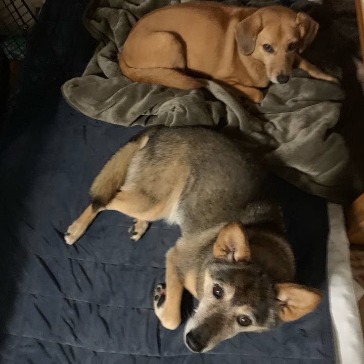 4b3d1602 aec1 45ac b2b5 22c025dabd02 1562337644319