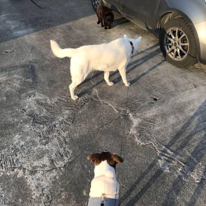 4b3d462d a6b5 4c16 bbb7 13098e60cc3b 1518955399727