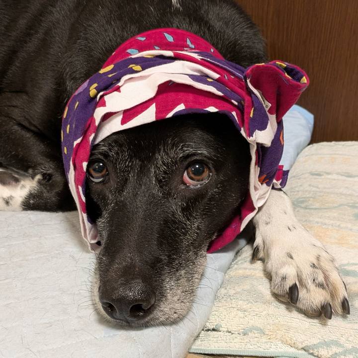 4b3d4cb4 0a29 481e b4d4 2e42034d00c4 1751453676461