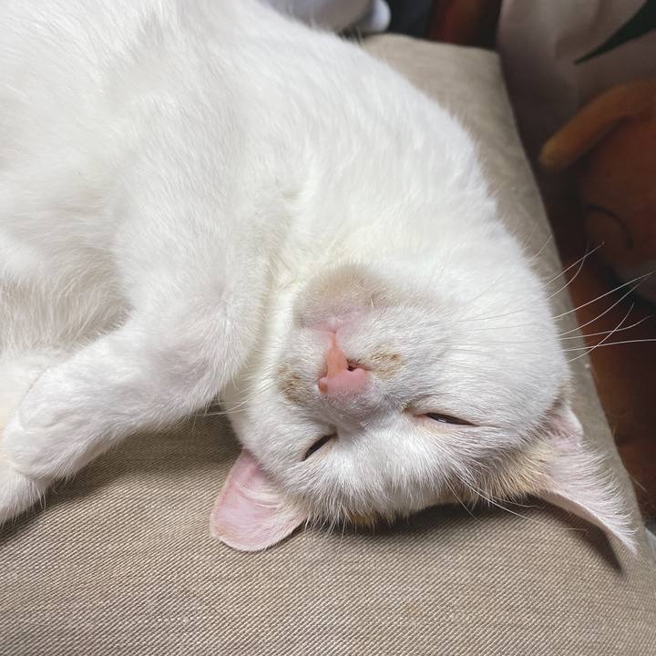 4b3dcfcb 45db 428a 842c b94dd7566b3d 1593345972730