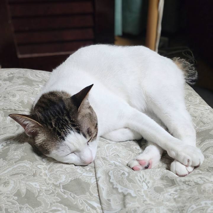 4b3df3cd b174 4341 888c 2331ff3c1a21 1743337451782