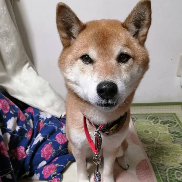 4b3df582 a5f2 42ca 9464 222abe689611 1642080331504