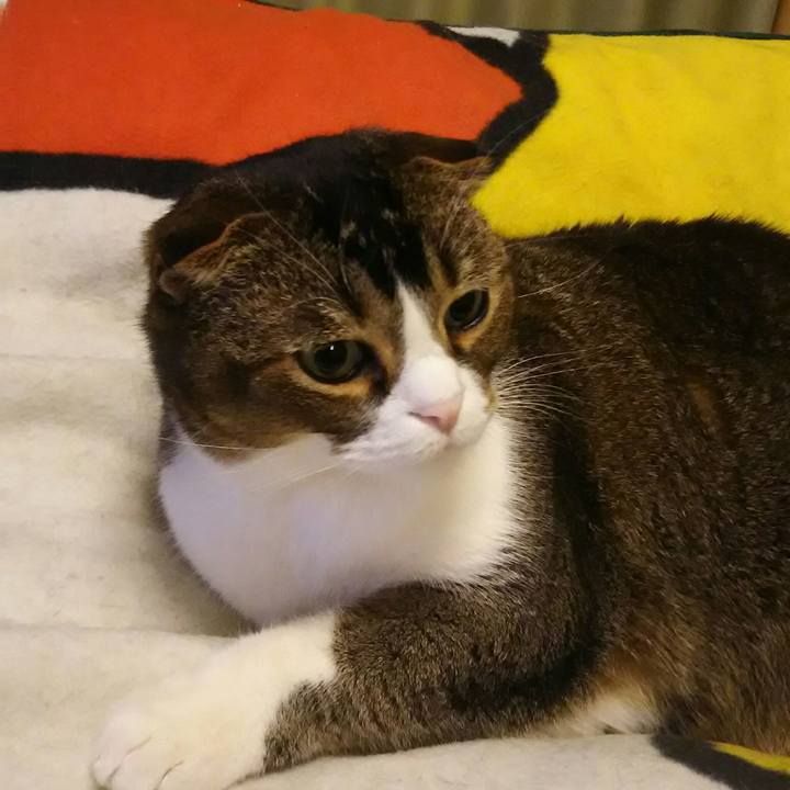 4b3df873 5c6f 4c46 9540 c6d7fdec9d31 1521722819405