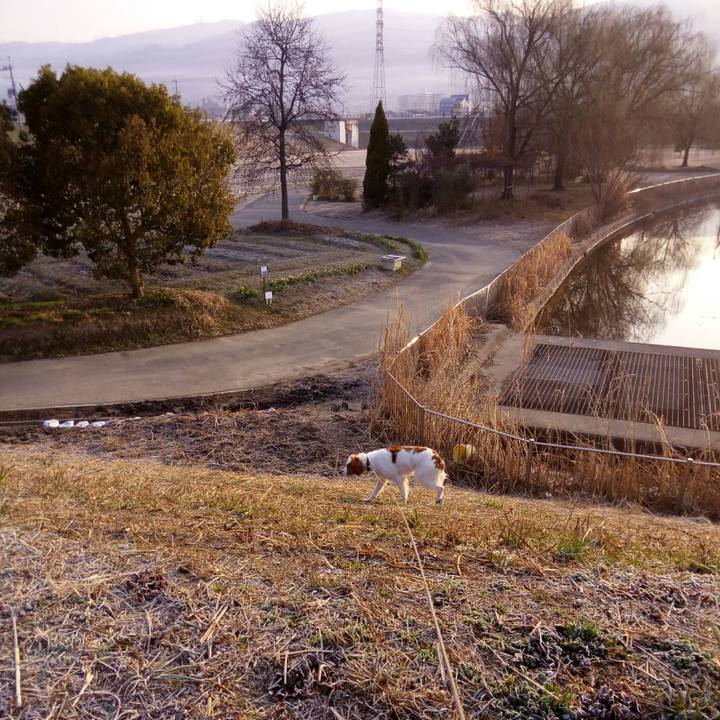 4b3e12c3 f82f 4ae2 872a 6203852abe3b 1519431211924