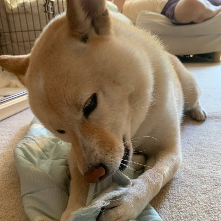 4b3e2542 3076 4ced ac6e 7869184b5e8a 1628647618628