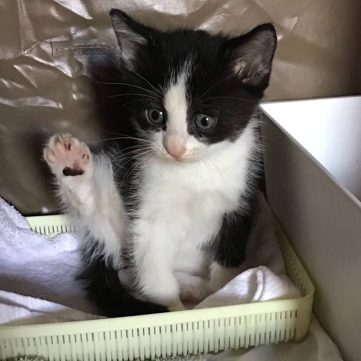 4b3e7928 09e4 40b2 a7f8 4e6cf7ef9d0e 1622350125507