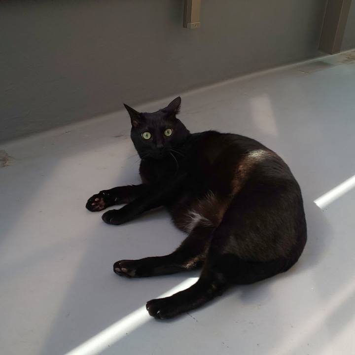 4b3e7c7f 8203 4ff0 8020 9f56d42592b3 1743916525773