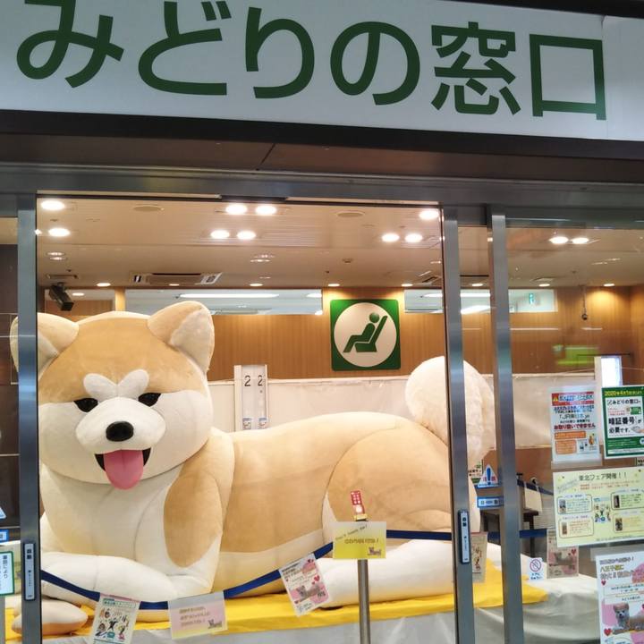 4b3eb095 01b9 425f b146 bd771fe1a11e 1611569448325