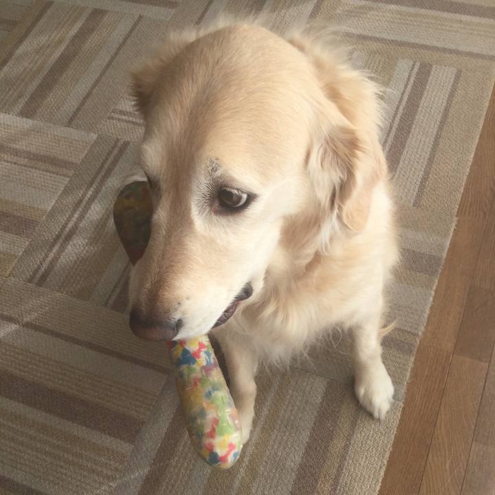 4b3eb6e2 c7db 44c6 84e3 3085a22f8d05 1516234929578