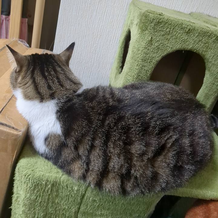 4b3ec381 9a74 4890 ac1b ea41c5e6e7c5 1684156708053