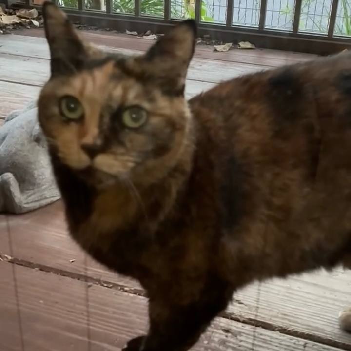 4b3ecb80 529f 4625 a1df b0ec219ab7cb 1761474673262