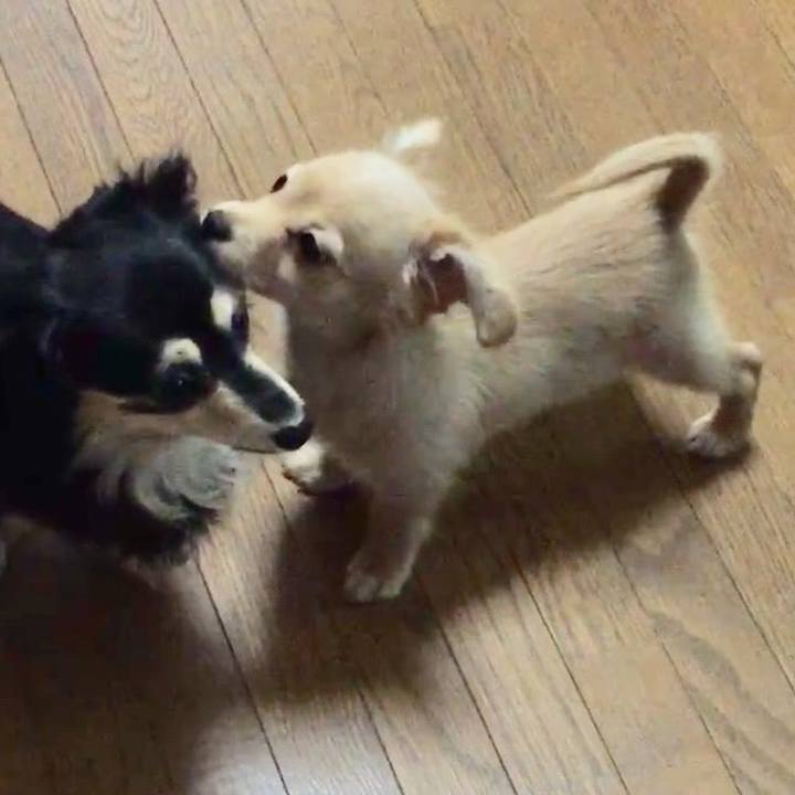 4b3ef0b9 9a9c 474f b0ac 28ffe11217b0 1581401772943