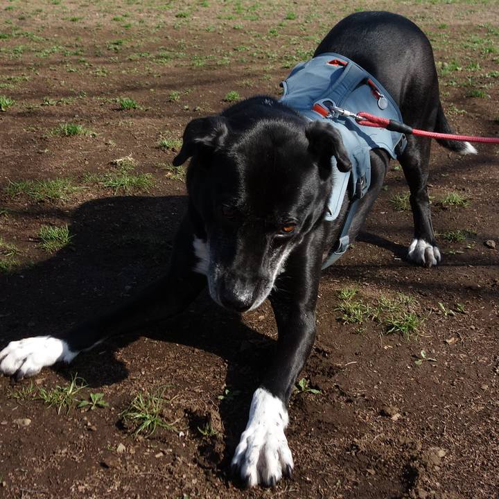 4b3ef948 ad6f 4082 bd19 01efb16a55d5 1711844945182