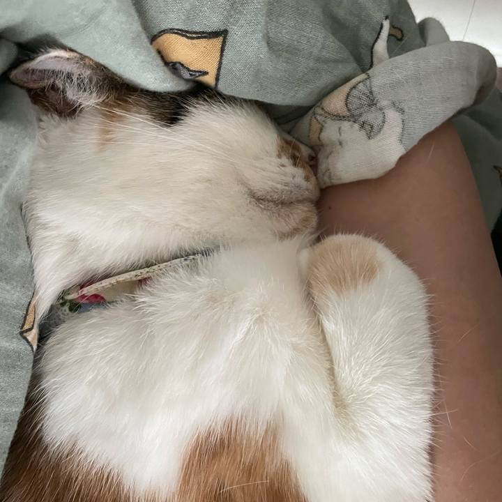 4b3f3787 b90b 4dbc b6bf db2c5a785959 1699761979608