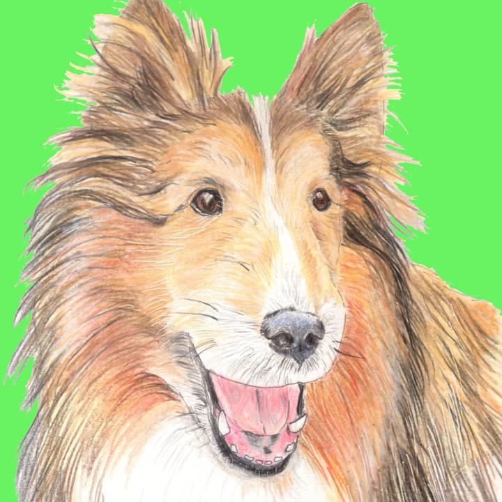 4b3f5d02 4e8c 49ef af7c e0a8637932bd 1623592052157