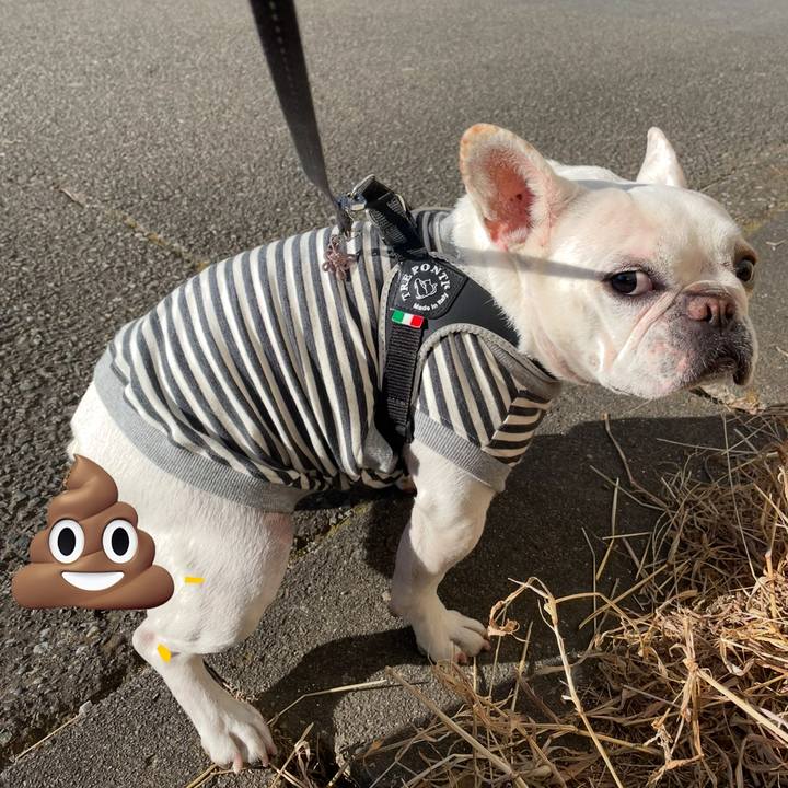 4b3f69bf 071c 4e40 97b9 e022d20d7f94 1736065433048