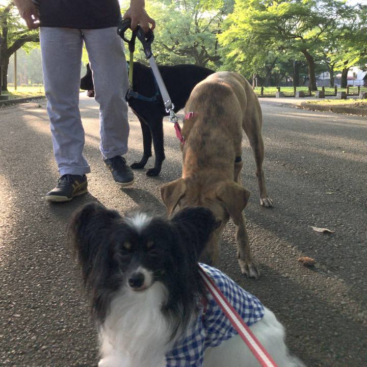 4b3f93f3 495c 4c40 8c4d 9d8bfc51c34c 1530397013776