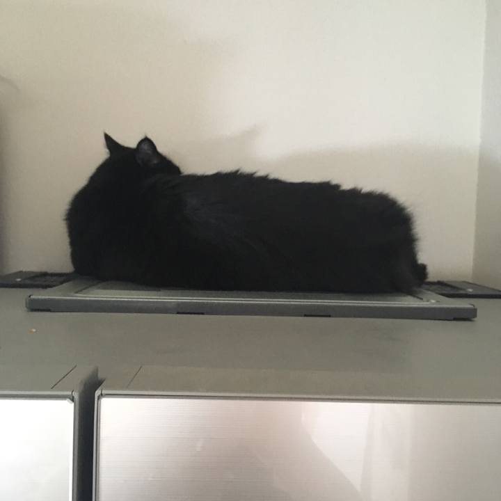 4b3f9d84 8ad2 4a0a aaeb 97fa8bfca7bd 1516672233078