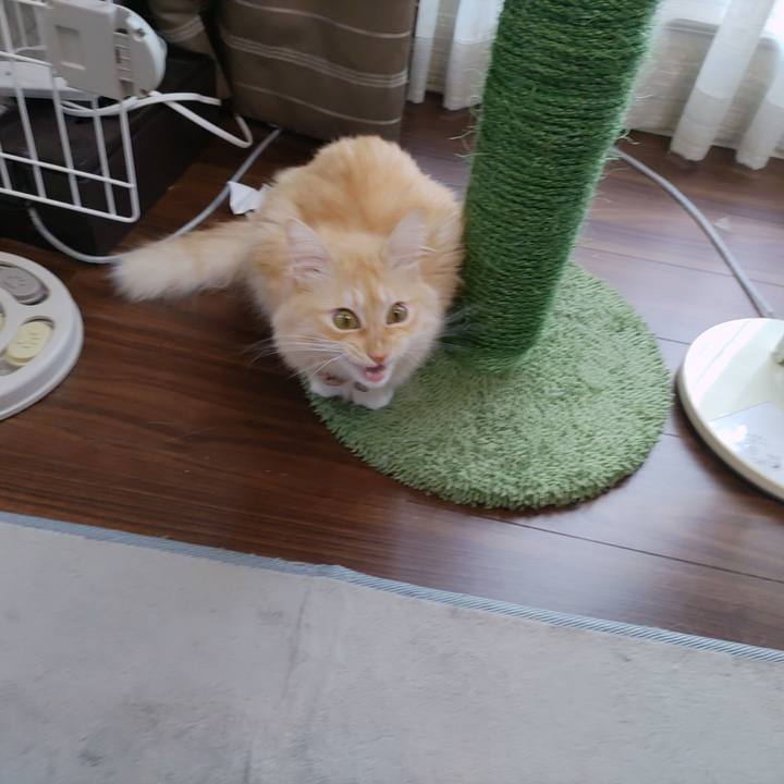 4b3fa347 6936 42e4 b0bd 6b8306d90ea0 1695470516794