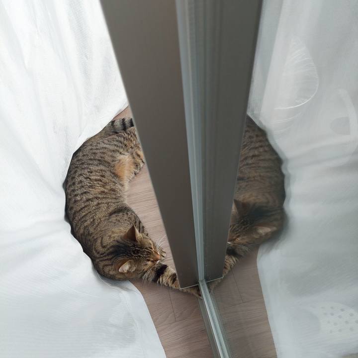 4b3faf2b b2f5 4e1c 8186 885c33b5c22f 1691274565202