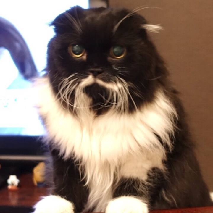 4b403df8 3cc1 4ae5 95b8 f6fd54b64200 1521032577501