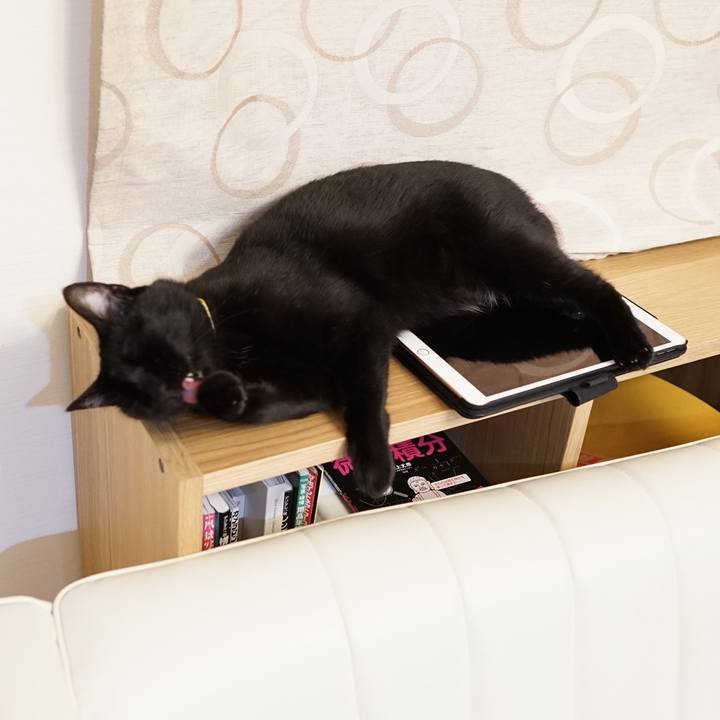 4b404e5e e267 4393 b1a0 e1cc12e55a83 1559173534529