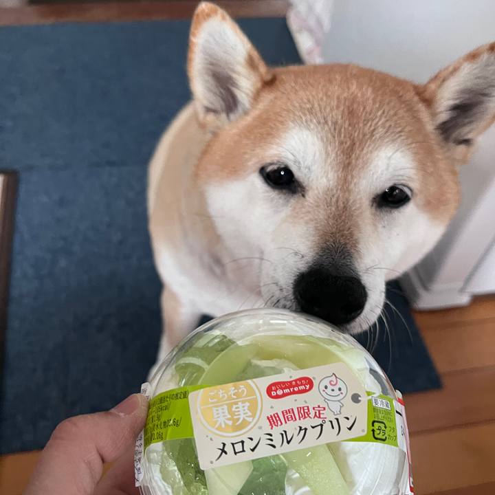 4b40783d 8487 43f6 abbc 9c010265bfae 1713767280401