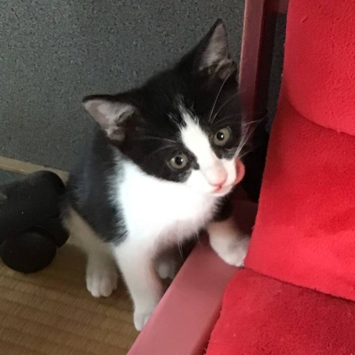 4b40a98f 1227 4feb 81d1 05c57cc296a4 1624857599178