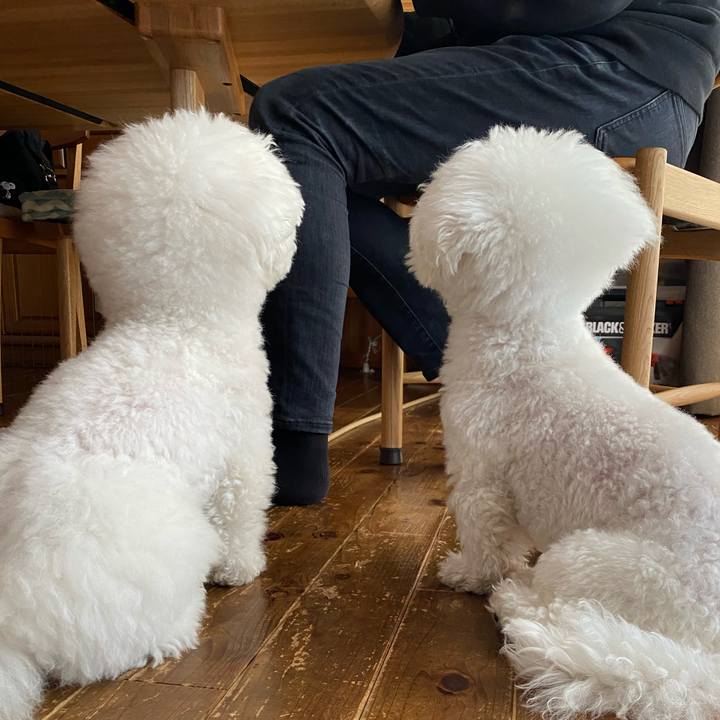 4b40c006 936f 4197 a233 6f8c7a42e1b1 1640500829929