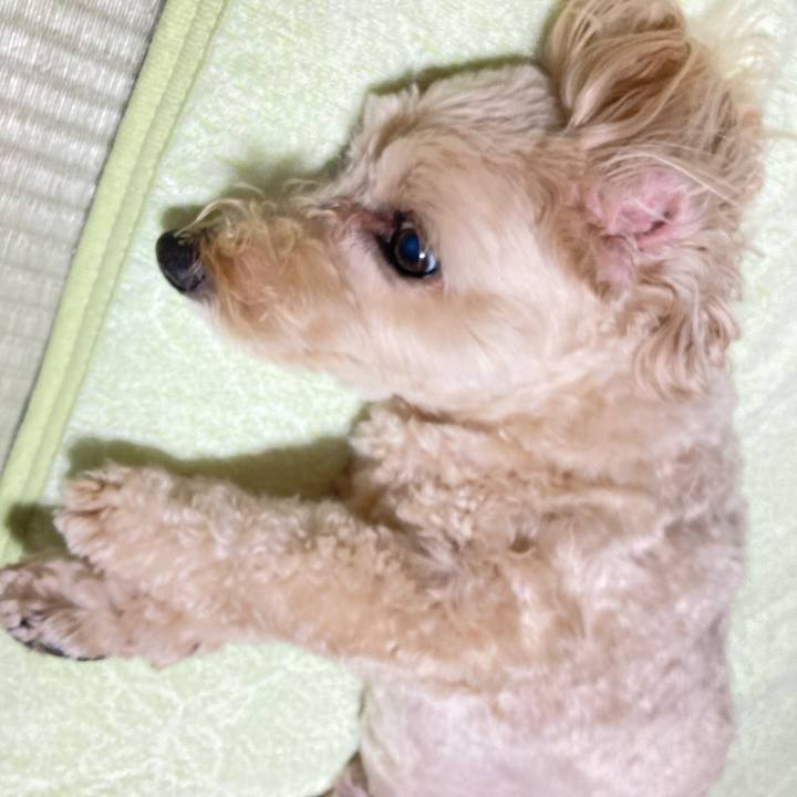 4b40e216 cece 4524 a97c 4f871774f4b7 1761454663486