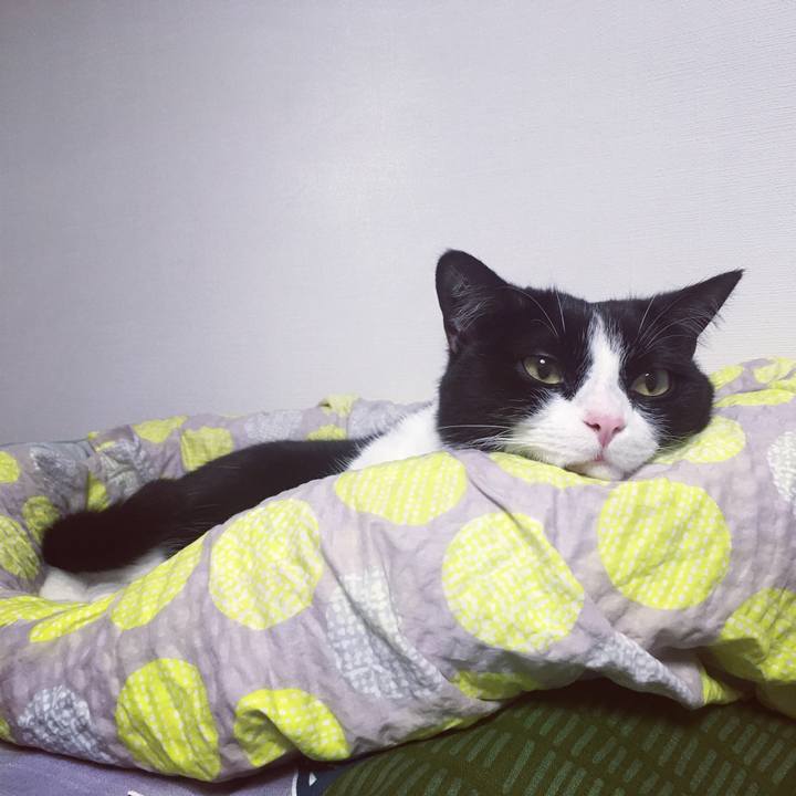 4b41434e 8017 484a 930b 5bff5a8bbacd 1592837028725