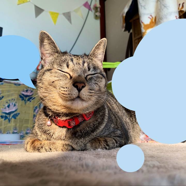 4b4148b2 1a3d 4381 b6c0 87180e313dbe 1546432468345