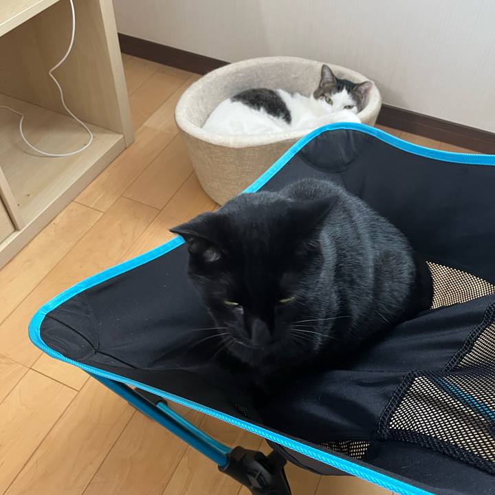 4b414ebe c292 4950 8029 19ada938bf0a 1724236890804