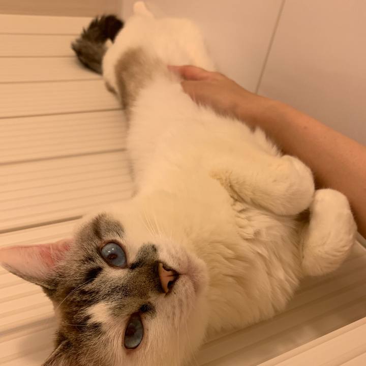 4b417701 d71d 4396 8860 7ba280a8cc4a 1556708062940