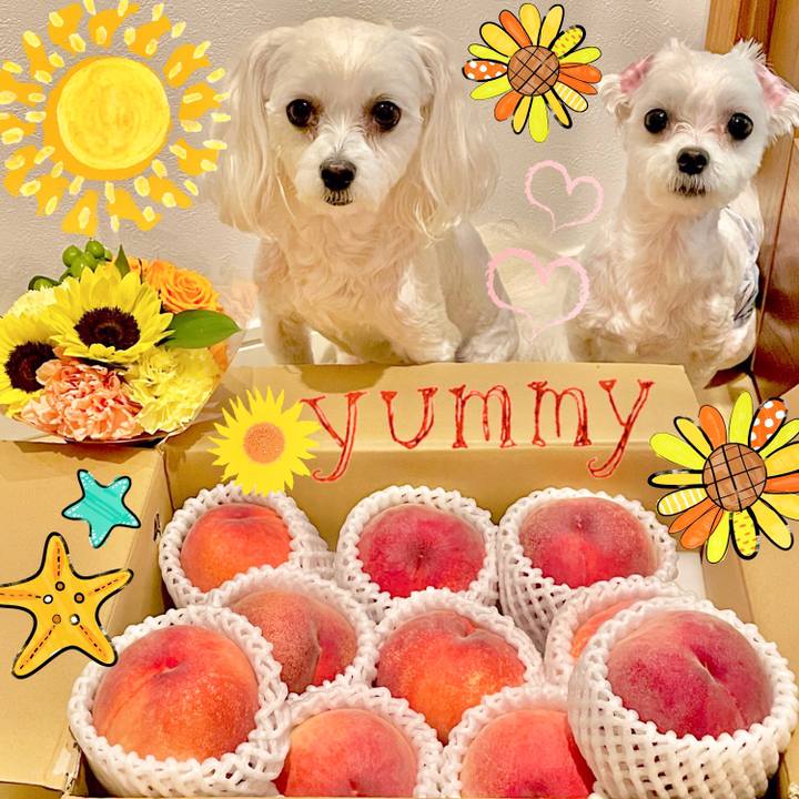 4b41b332 5cef 4c1f 973a b218a1e73902 1627364857063