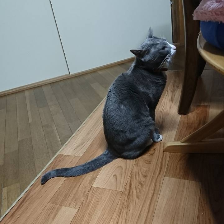 4b422c5f abfa 4da9 84f6 4e9c14eca190 1511057545682