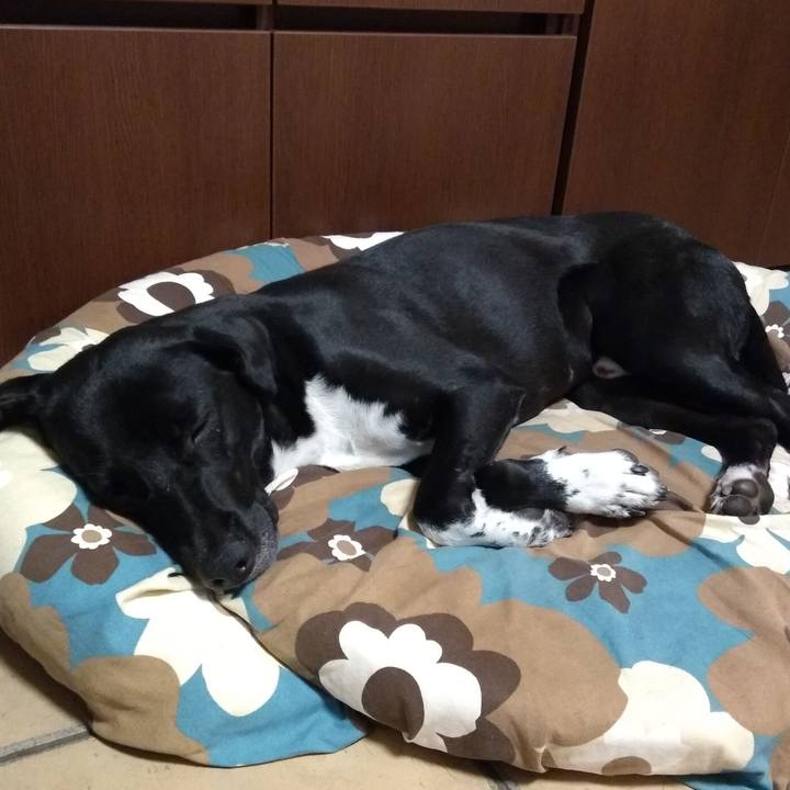 4b42304d e4f8 4006 8e64 4c6529c96fc4 1594134453607