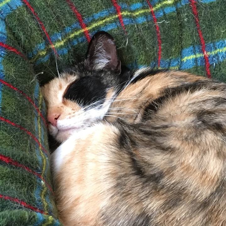 4b42486a e562 42ba b6fa 4674215a696e 1519191164426