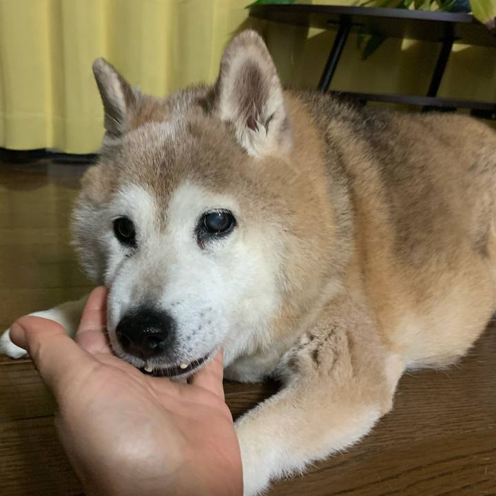 4b425d1c 882c 41ef 9273 68890ef446b9 1655894473116