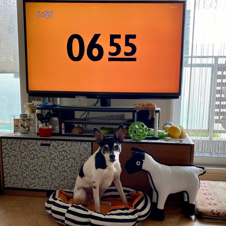 4b42606b 19d3 471e a7a6 52b7d3ffdb15 1620943018118