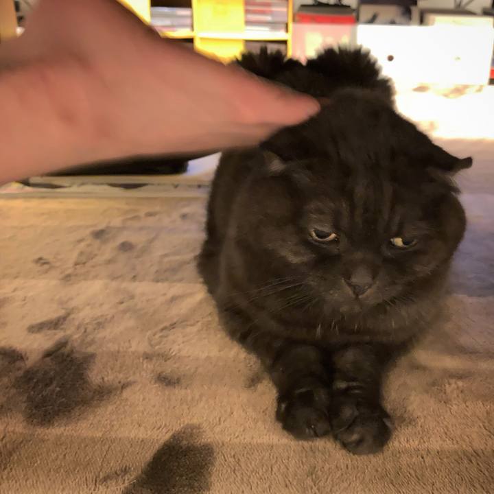 4b42b0da 537a 4f07 9923 c0784a1d5a63 1604759533536