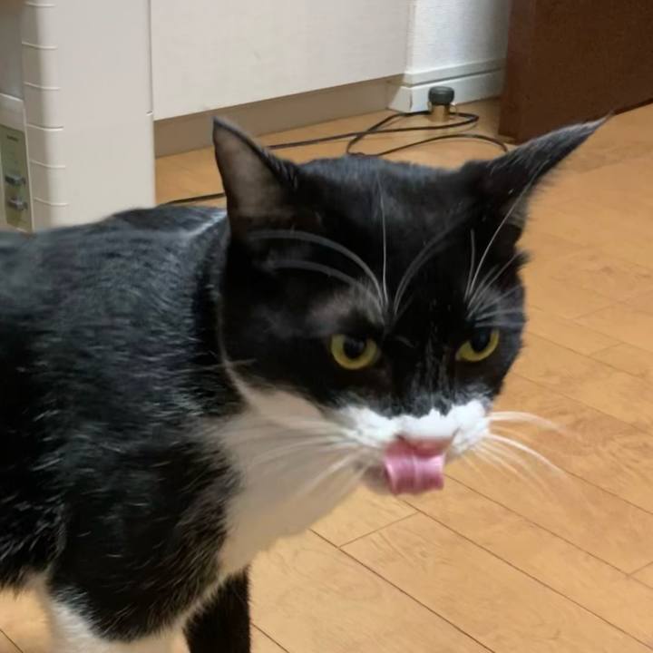 4b42bd0a bfd6 4a2f aa85 29aacc70e614 1611916095730