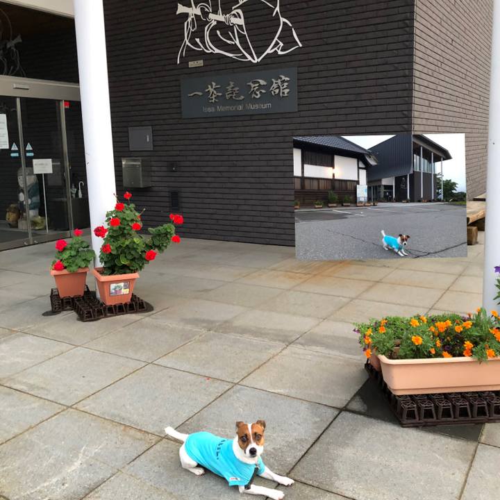 4b42c948 32ce 4b7b 99de b57402965245 1566299666971