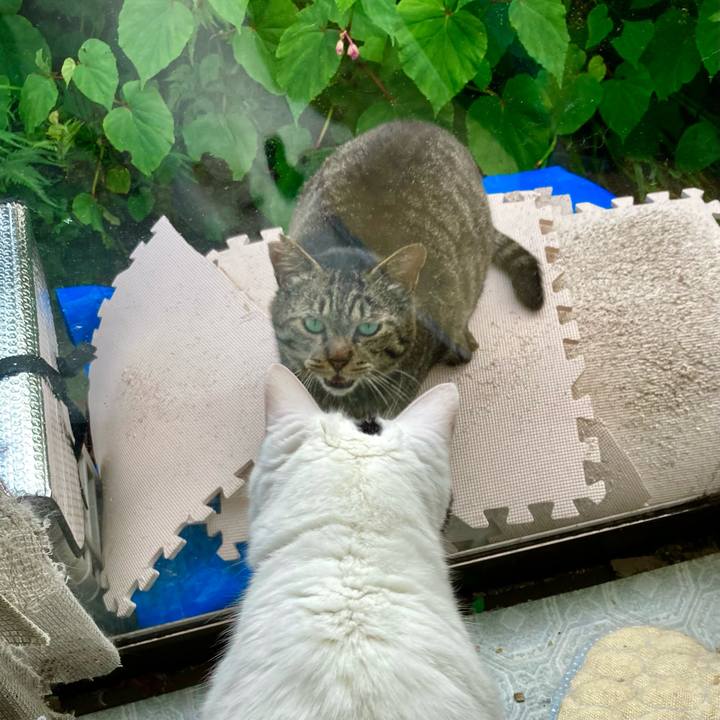 4b4311f8 9117 4f88 909c 3b03a5c1511f 1659162235208