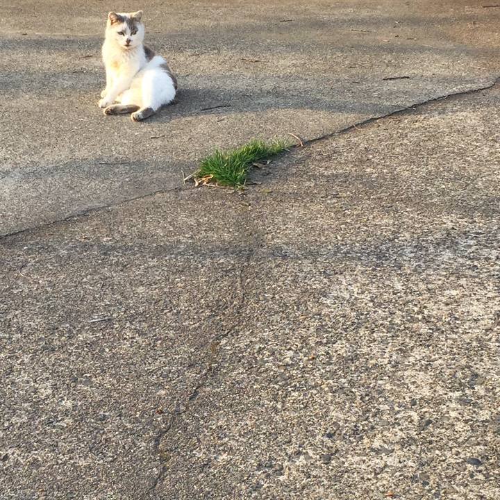 4b433e18 ef12 425e a91a dafaa9b318b7 1516979643862