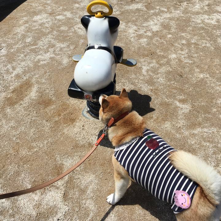 4b43469f 8711 4de2 a68b 3e92f7de9c95 1556428437982