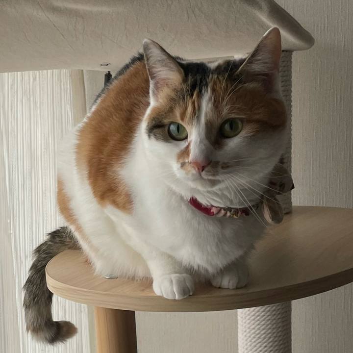 4b43475e 3a2c 41b3 8318 b55ac4bcc67b 1647142691064