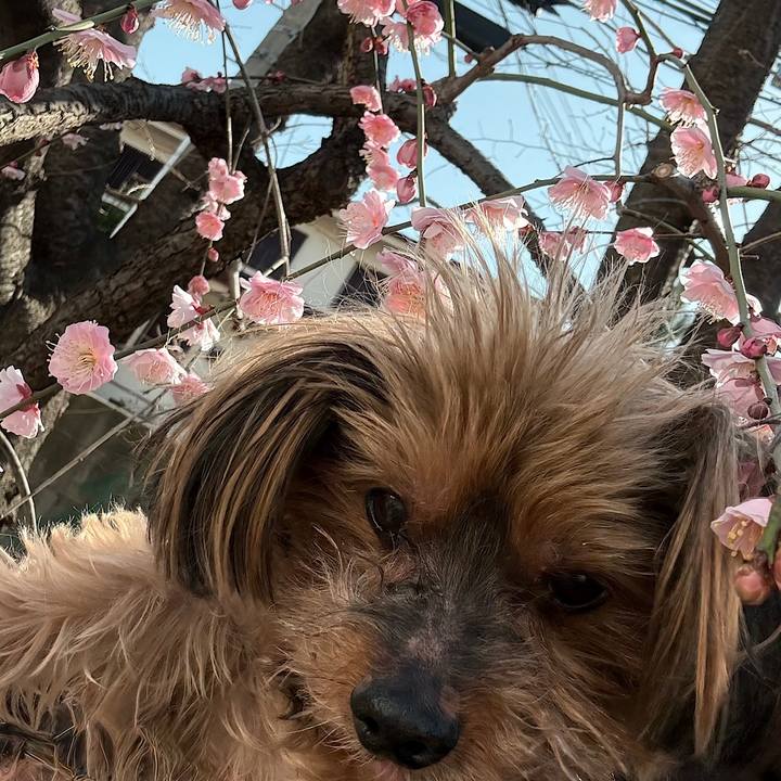 4b434904 b3be 48ae a4c5 934b82313d38 1739590797695